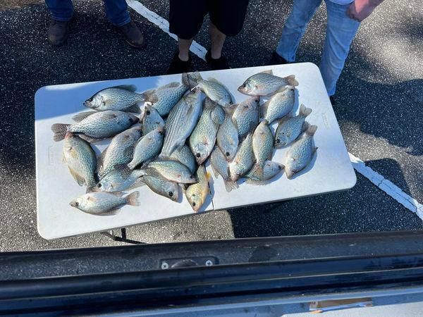 Crappies Fishing In Lake Allatoona, GA